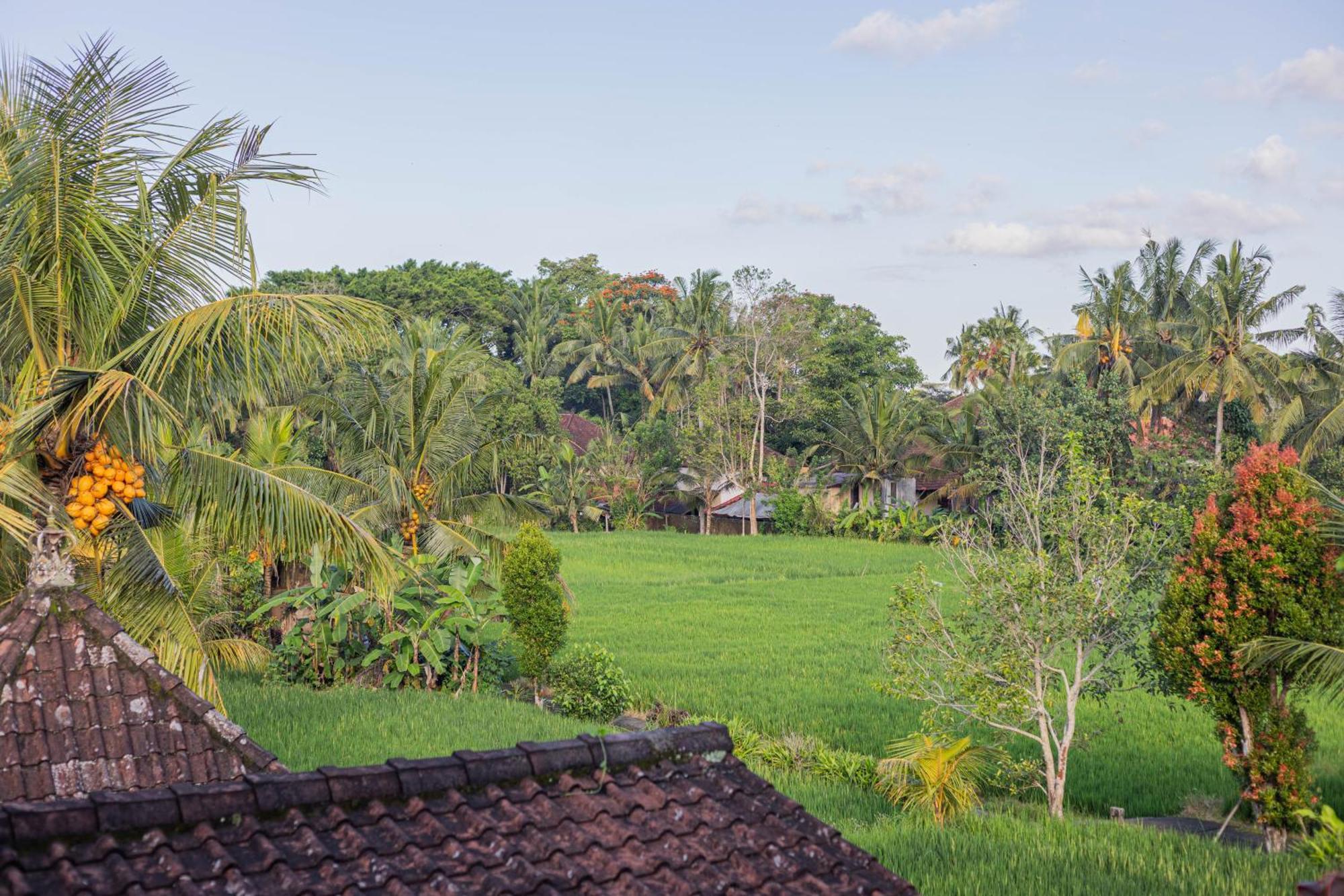 Sari Bamboo Bungalows Ubud Cameră foto